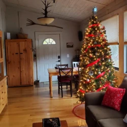 Cozy living room with a decorated Christmas tree, guitar, and wooden furniture. Light floods in through large windows.