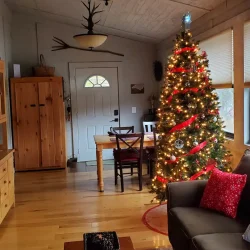 Cozy living room with a decorated Christmas tree, guitar, and wooden furniture. Light floods in through large windows.
