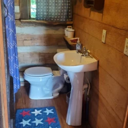 Rustic bathroom with a log cabin design, pedestal sink, toilet, blue star-patterned rug, shower curtain, and wood walls.