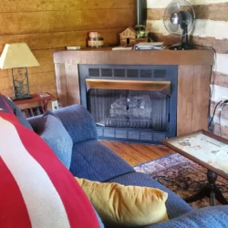 Cozy living room with a blue couch, antler decor, electric fireplace, and a fan on a rustic wood shelf.