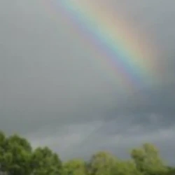 A vivid rainbow arches across a cloudy gray sky above a line of green trees.