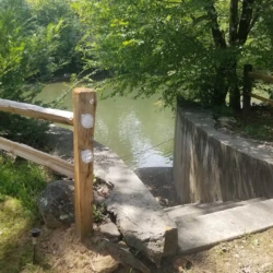 A concrete path leads down to a riverbank surrounded by trees, with a wooden fence on the side and steps visible.