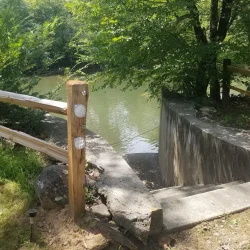 A concrete path leads down to a riverbank surrounded by trees, with a wooden fence on the side and steps visible.
