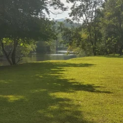 A grassy area with trees and dappled sunlight, overlooking a calm river under a clear sky.