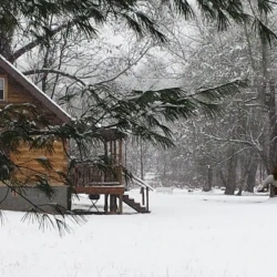 A small wooden cabin surrounded by snow-covered trees and ground, with pine branches in the foreground.