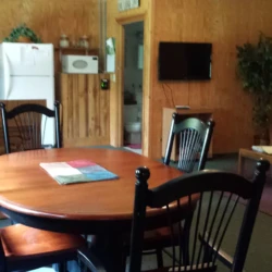Cozy room with a wooden dining table and chairs, a sofa, TV, fridge, and potted plant, featuring wood-paneled walls.