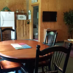 Cozy room with a wooden dining table and chairs, a sofa, TV, fridge, and potted plant, featuring wood-paneled walls.