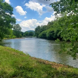 A calm river surrounded by lush green trees under a partly cloudy blue sky.