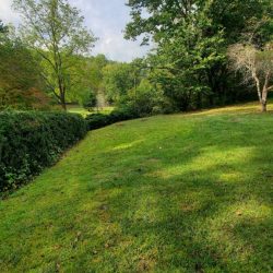 A grassy lawn bordered by a hedge and trees under a partly cloudy sky.