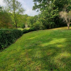 A grassy lawn bordered by a hedge and trees under a partly cloudy sky.