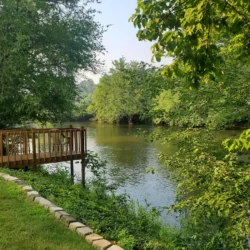 A wooden deck overlooks a calm river surrounded by lush green trees on a sunny day.