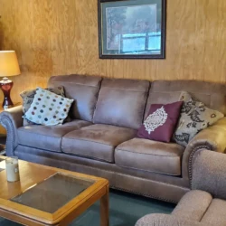 Living room with a brown sofa, patterned cushions, two lamps, a plant, and a wooden coffee table with a candle.