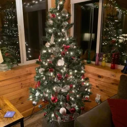 A decorated Christmas tree with red and white ornaments and lights in a cozy room with wooden walls and large windows.