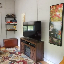 Cozy room with a TV, games on shelves, a colorful rug, a guitar, and a scenic wall art of a lake and autumn trees.