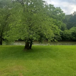 A grassy area with a tree by a river, two empty chairs, and a small fire pit are in the foreground.