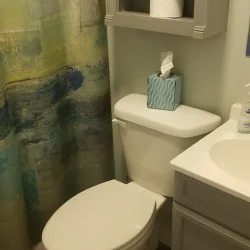 A bathroom with a toilet, sink, patterned shower curtain, and items like a tissue box and soap dispenser on the sink counter.