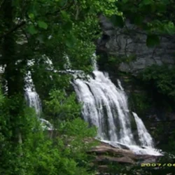 Waterfall cascading over rocks surrounded by lush green foliage.