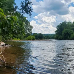 Calm river with clear water flows between green trees under a partly cloudy blue sky.