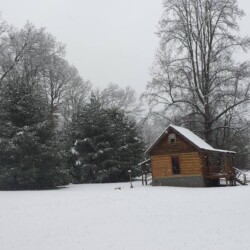 A small wooden cabin surrounded by snow-covered trees and ground in a winter landscape.