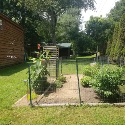 A fenced garden with various plants, including tall leafy greens and flowering plants, situated near a wooden house and trees.