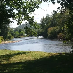 A tranquil river flows between forested banks under a canopy of green trees, with a grassy foreground and hills in the background.