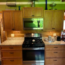 Wood-paneled kitchen with a stainless steel oven, microwave, and granite countertops; shelves above hold plants and decor.