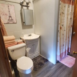 Small bathroom with shower, toilet, sink, and mirror. Towels are stacked on the toilet tank, and a Paris-themed picture hangs on the wall.