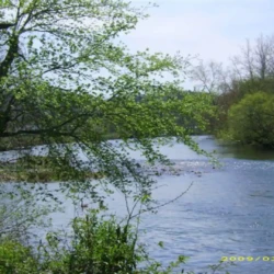 A calm river flows surrounded by green trees and foliage under a clear sky.