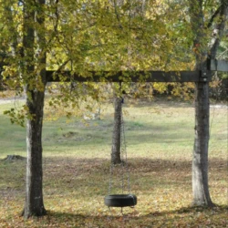 A tire swing hangs from a wooden beam between two trees with autumn leaves, set in a grassy area covered with fallen leaves.